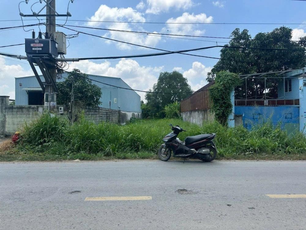 Bán Đất Mặt Tiền Đường Thanh Niên, Bình Chánh - 600m2, Giá 7.3 Tỷ