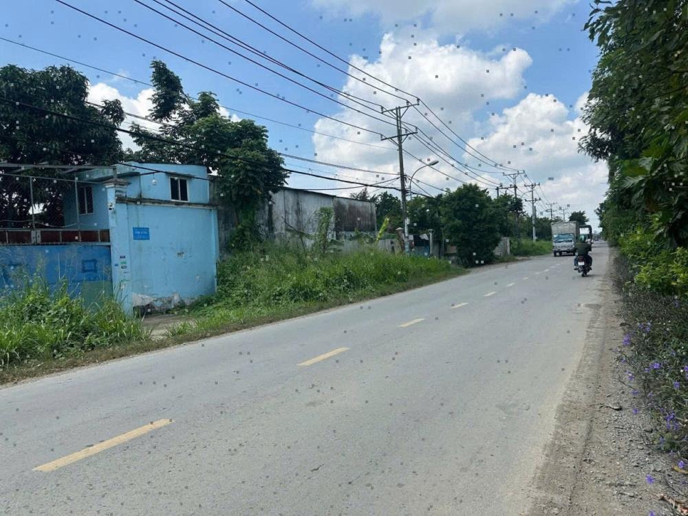 Bán Đất Mặt Tiền Đường Thanh Niên, Bình Chánh - 600m2, Giá 7.3 Tỷ