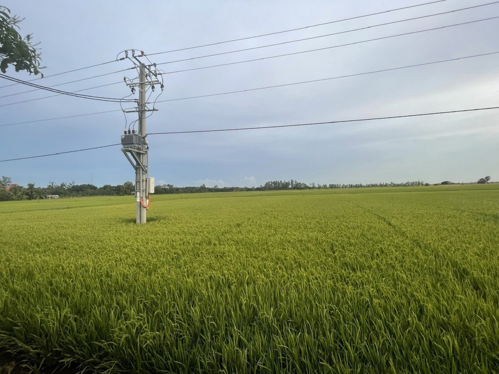 ĐẤT ĐẸP - GIÁ TỐT - Cần Bán nhanh lô đất tiềm năng tại Trần Đề, tp Sóc Trăng, tỉnh Sóc Trăng ( cũ )