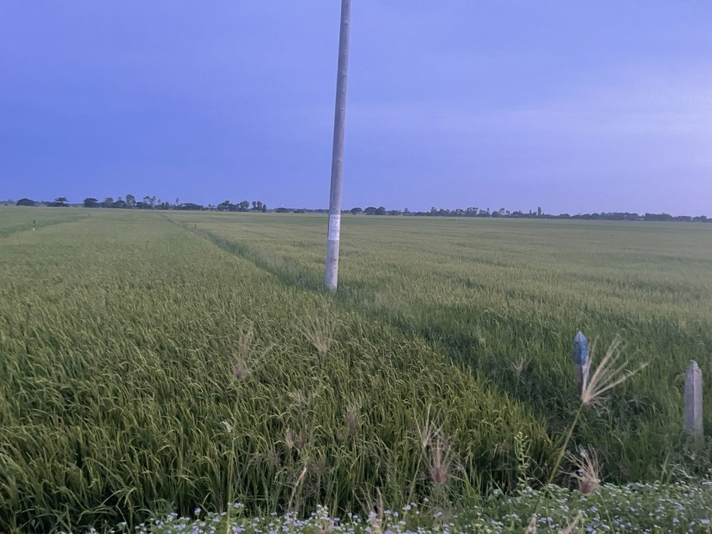 ĐẤT ĐẸP - GIÁ TỐT - Cần Bán nhanh lô đất tiềm năng tại Trần Đề, tp Sóc Trăng, tỉnh Sóc Trăng ( cũ )
