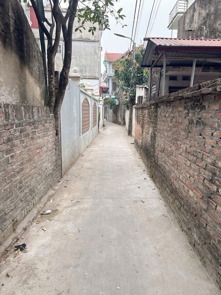 Bán Đất Đại Tự - Kim Chung - Giá 3.8 Tỷ - Vị Trí Đắc Địa