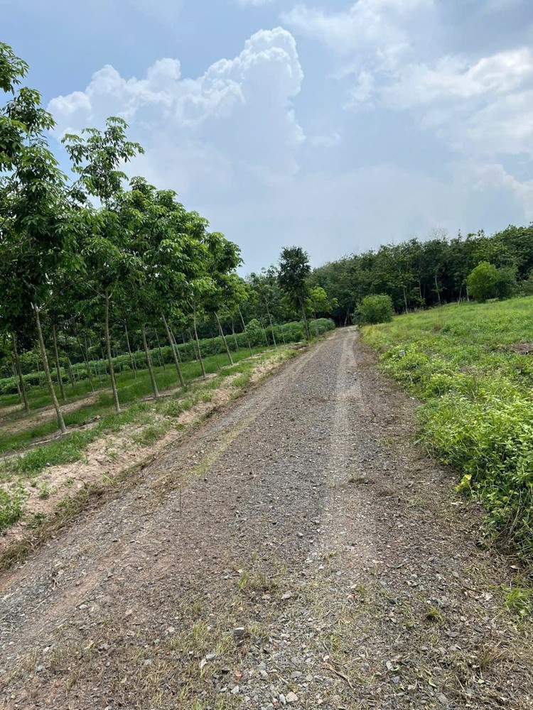 ĐẤT ĐẸP - GIÁ TỐT - Chính Chủ Bán Đất nền đã có sổ hồng 818.7m2 Tân Biên, Tây Ninh