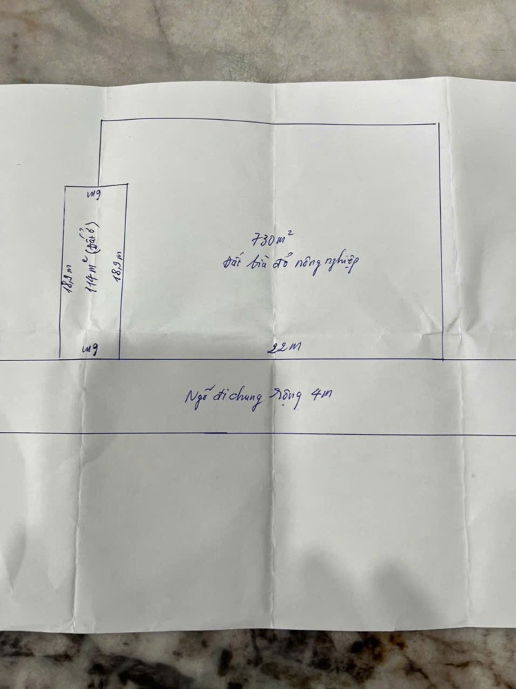 4 tỷ – 850m2 Nam Đồ Sơn Zalo 0567222555