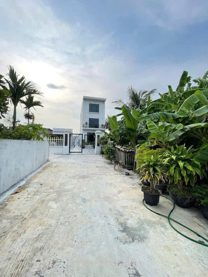 6xx  triệu 65m2 Lão Phú Tân Phong Kiến Thụy Zalo 0567222555