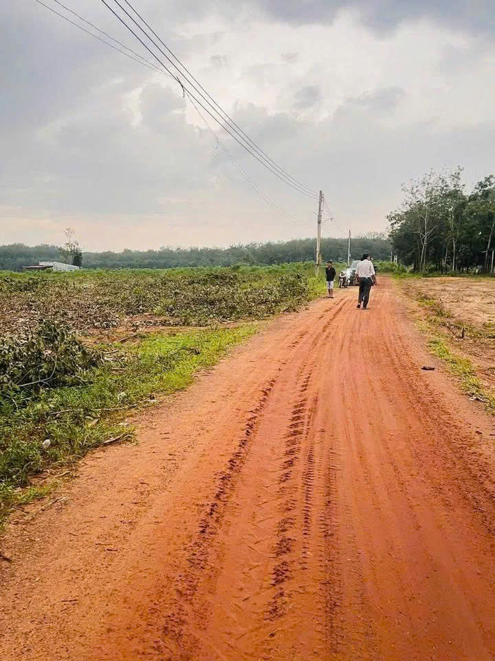 CHÍNH CHỦ CẦN BÁN ĐẤT XÃ MINH HÒA, HUYỆN DẦU TIẾNG, BÌNH DƯƠNG