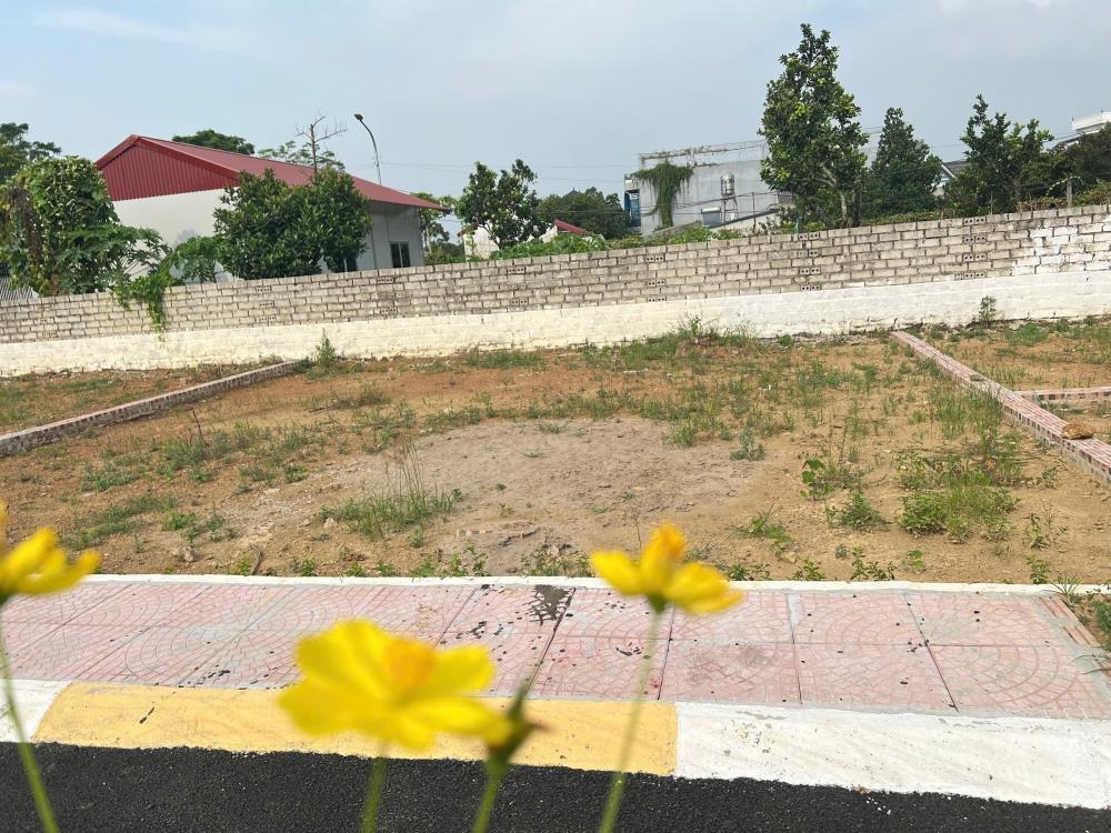 Bán Gấp Lô Đất Trục Chính Thạch Thất - Giá Chỉ Hơn 1 Tỷ