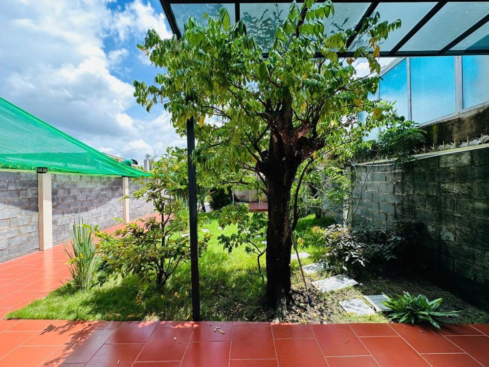 Nhà Vườn 256m2 HCM - Giá 2.5 Tỷ - Pháp Lý Sổ Hồng Riêng