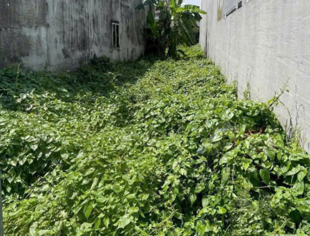 Đất Mặt tiền SHR Nở hậu nhẹ HXH 117m2 – Thạnh Lộc 51 Quận 12 SS