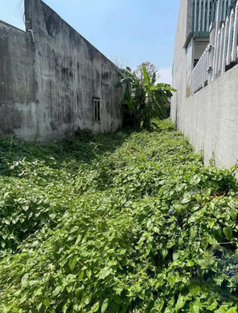 Đất Mặt tiền SHR Nở hậu nhẹ HXH 117m2 – Thạnh Lộc 51 Quận 12 SS