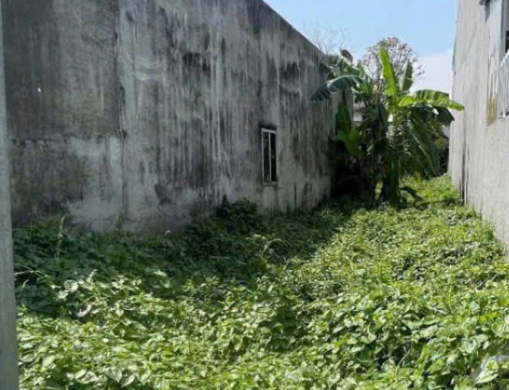 Đất Mặt tiền SHR Nở hậu nhẹ HXH 117m2 – Thạnh Lộc 51 Quận 12 SS