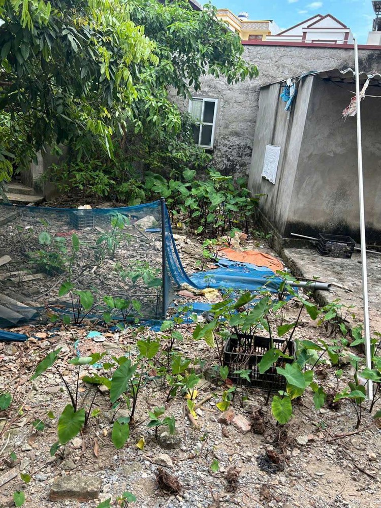 Chính chủ cần bán 38.5 m2 đất Cổ Bi- Gia Lâm, giá chỉ 3.1 tỷ, liên hệ 0985865658