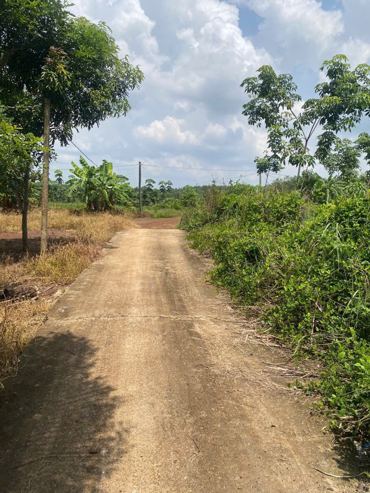 Chính chủ bán đất ấp 6, xã An Khương, Hớn Quản, Bình Phước