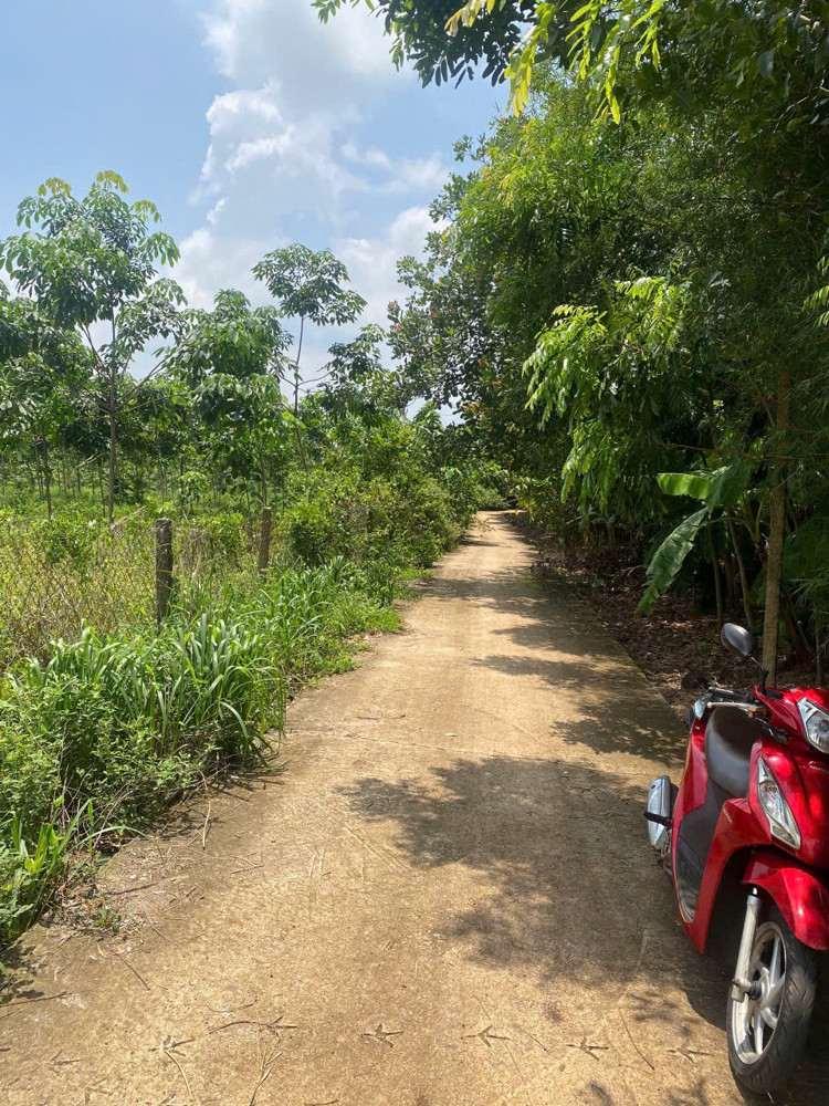 Chính chủ bán đất ấp 6, xã An Khương, Hớn Quản, Bình Phước