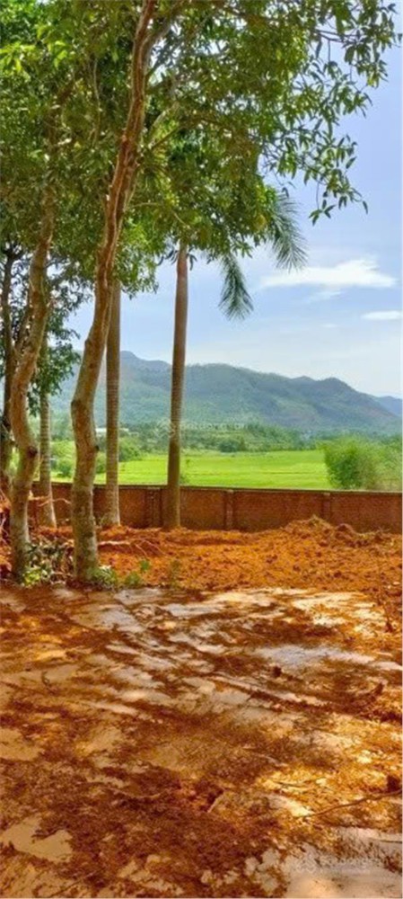 Bán 20.000 m2 đất tại trung tâm xã Phú Cát- Quốc Oai- Hà Nội