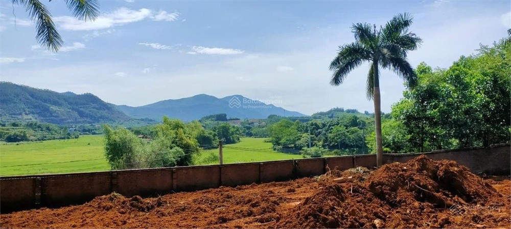 Bán 20.000 m2 đất tại trung tâm xã Phú Cát- Quốc Oai- Hà Nội