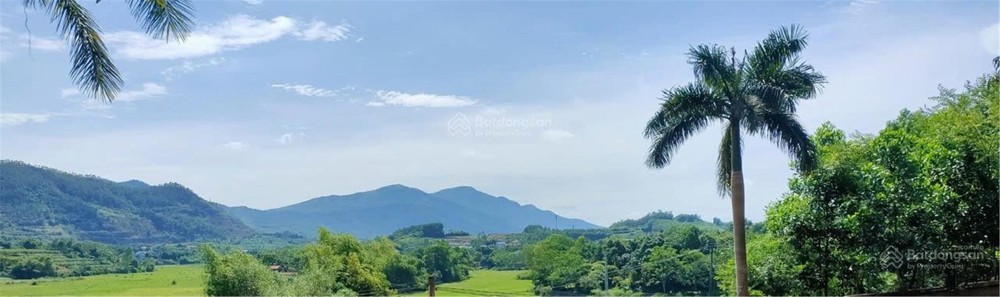 Bán 20.000 m2 đất tại trung tâm xã Phú Cát- Quốc Oai- Hà Nội