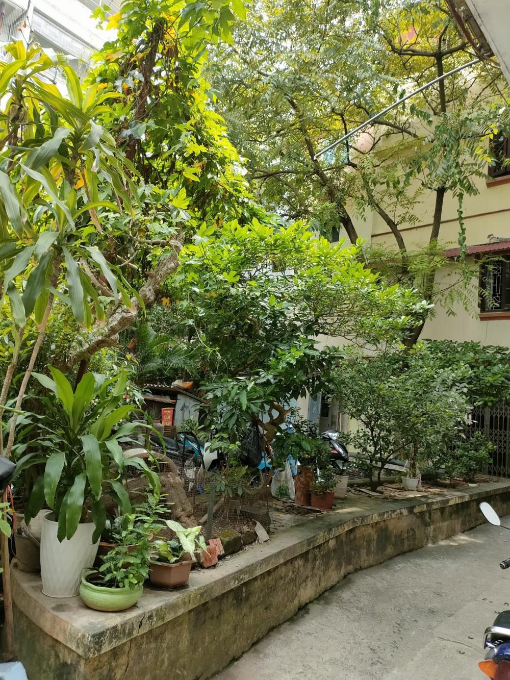 Bán Căn Hộ Trần Đại Nghĩa, Hai Bà Trưng - 40m2, 1.79 tỷ - Full Nội Thất, Ô Tô Đỗ Cửa