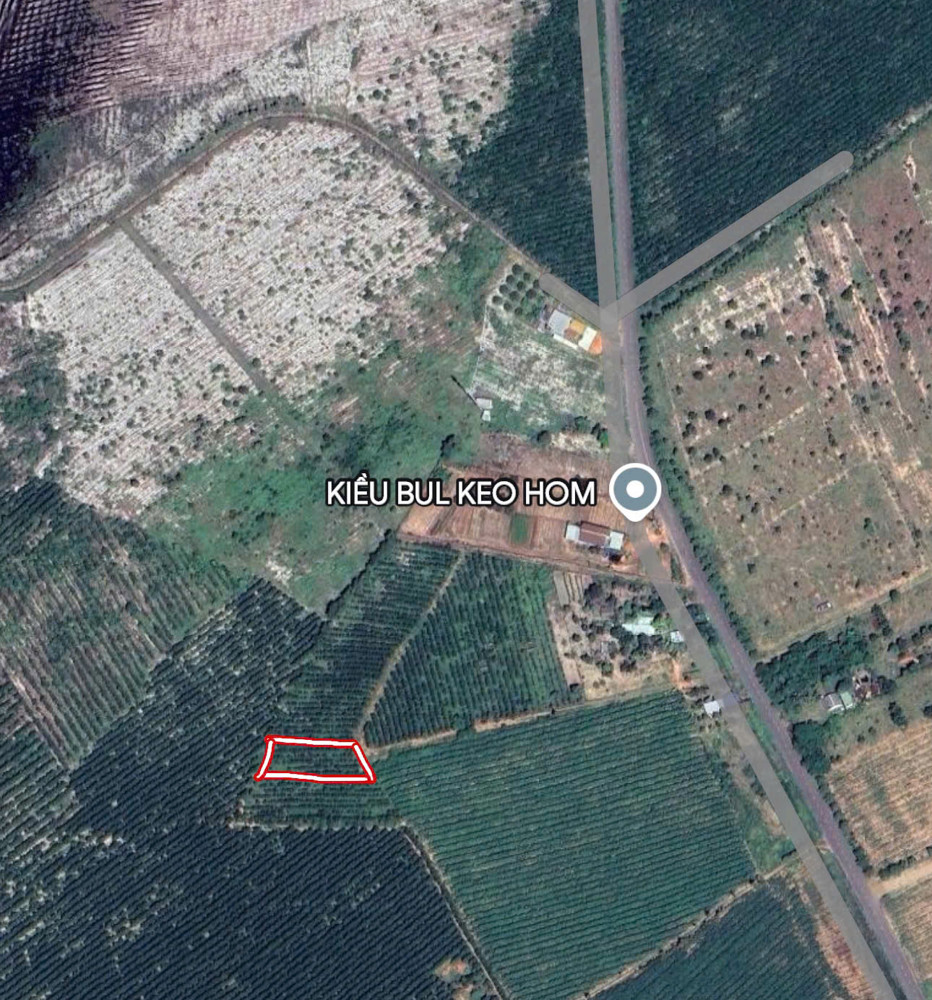 khả năng dự án Vàng: 1033m2 Đất Thổ Cư Quốc Lộ 55, Hàm Tân - Bình Thuận, Chỉ 1 Tỷ!