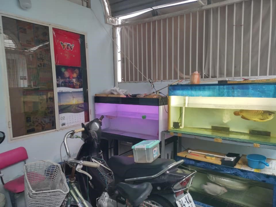 Bán nhà HBG Phạm Văn Bạch, P15, Tân Bình, 73m2, 2 tầng, 4.x tỷ