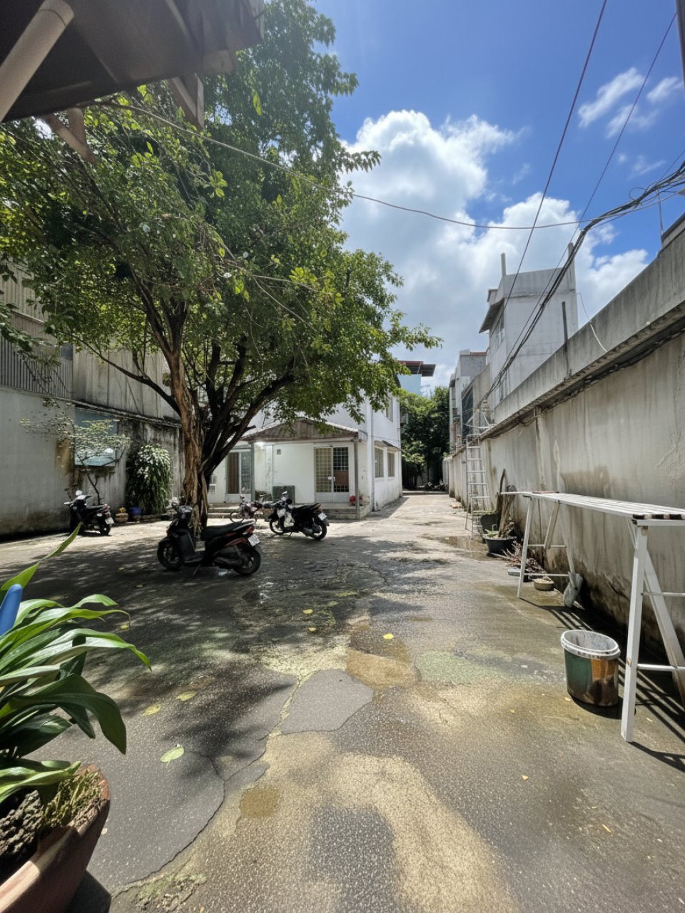 🏡 Bán nhà mặt tiền Nguyễn Oanh, Gò Vấp - SHR, 4 Tầng, 636m2 - Giảm 2 Tỷ