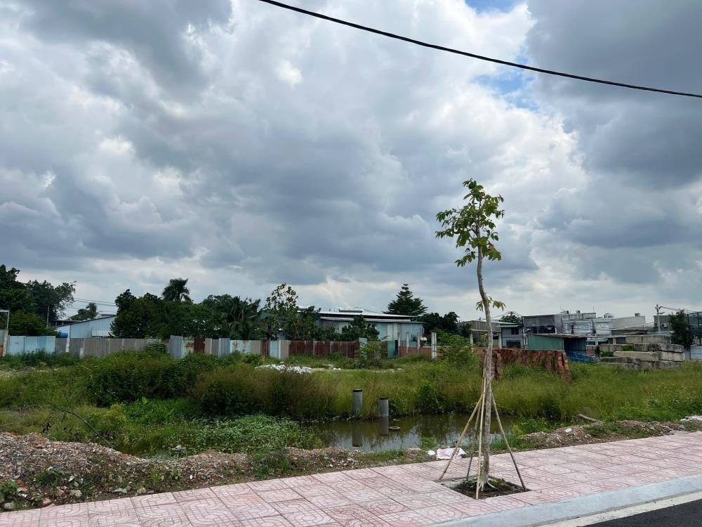 Đất Nền Quận 12 - Sổ Hồng Riêng - Giá 4.3 Tỷ - Vị Trí Vàng