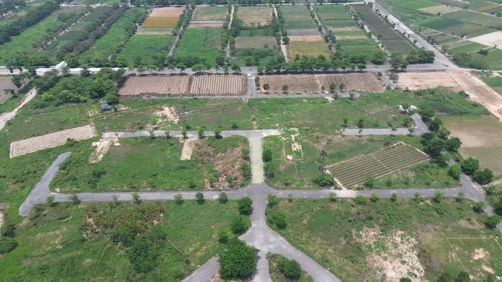 Bán Gấp LK4 Cienco 5 Mê Linh – Vị Trí Đẹp, Gần Cầu Thượng Cát