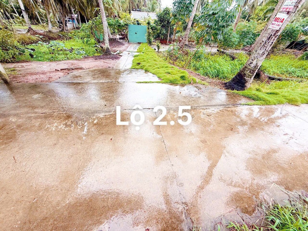 Tìm chủ mới đất mặt tiền đường bê tông 2m5 mét tại ấp Phong Đại Điền - Thạnh Phú - Bến Tre cũ