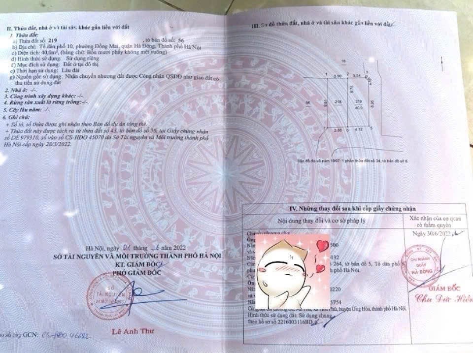 HÀNG FO CẦN BÁN 40M TẠI ĐỒNG MAI-HÀ ĐÔNG-HÀ NỘI