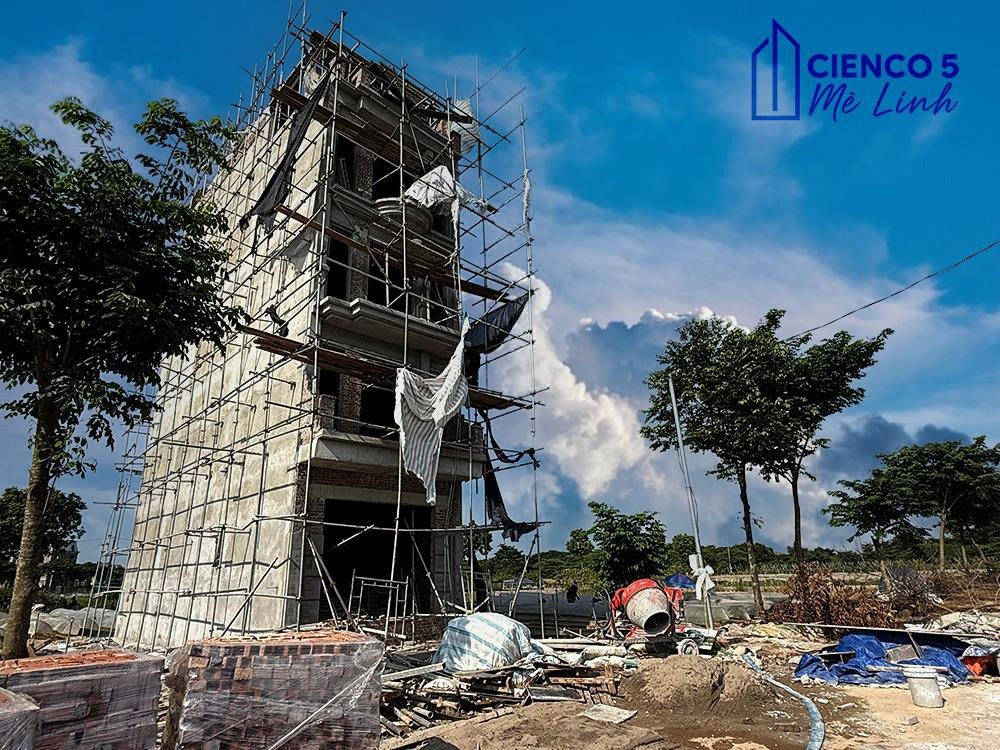 Bán Liền Kề LK16 Ô 1X Cienco 5 Mê Linh - Vị Trí Đắc Địa, Giá Tốt
