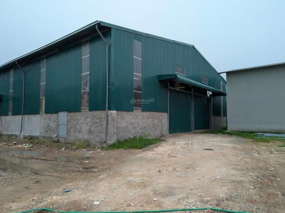 Cho Thuê Kho Xưởng Nguyên Khê Đông Anh: 1500m2 - 3500m2, Giá 80k/m2