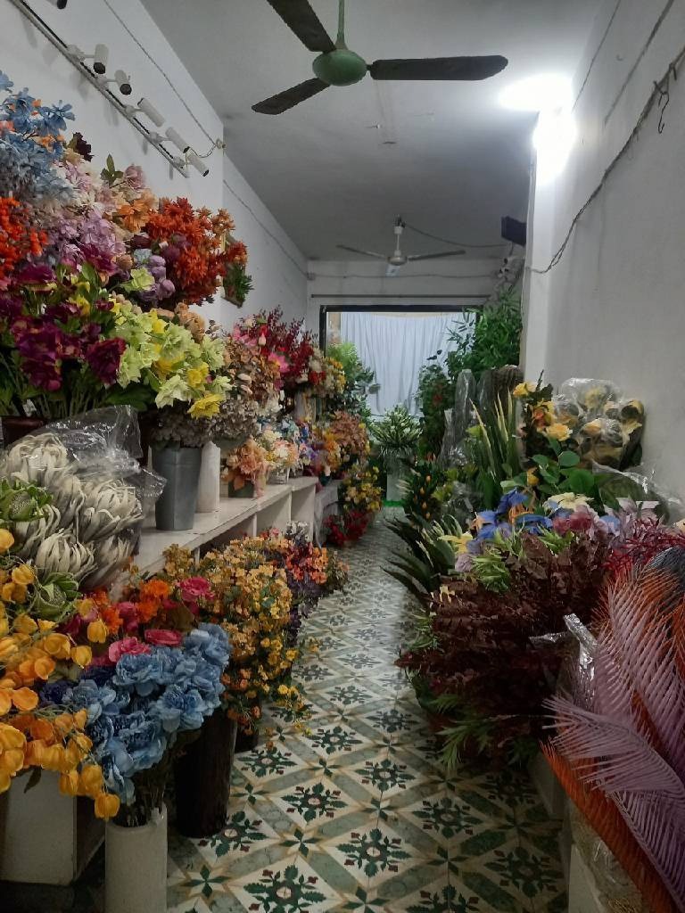 Bán Nhà Phố Đồng Xuân - Hoàn Kiếm 53.5m² - Vị Trí Độc Tôn, Kinh Doanh Sầm Uất