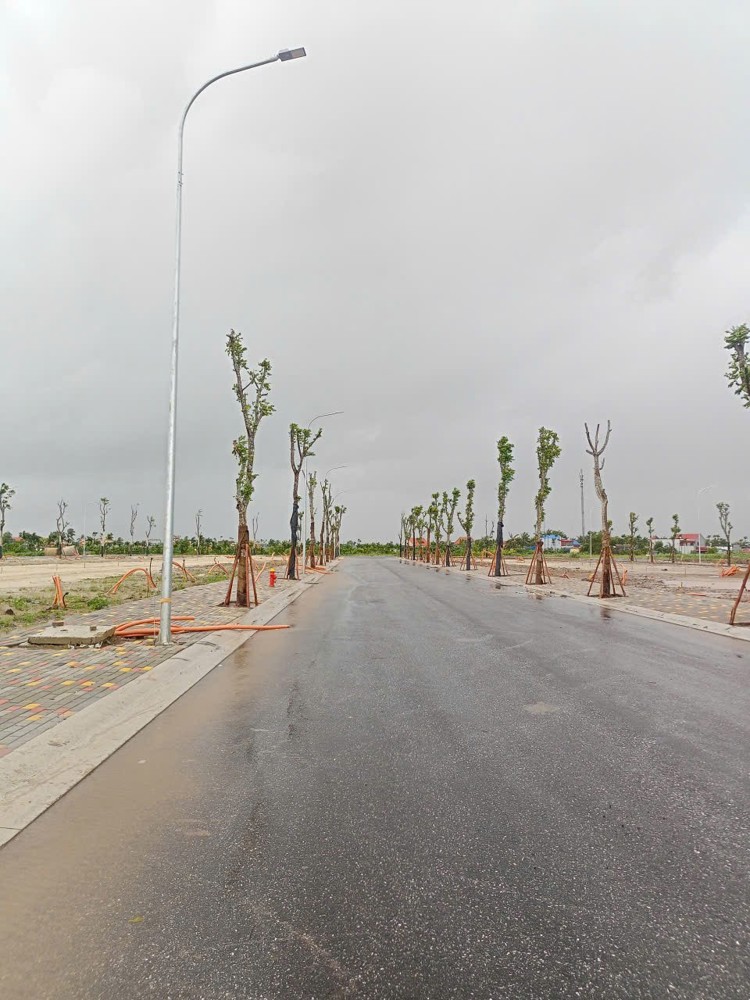 Đất tái định cư Vinhomes Dương Kinh – 99,4m² vuông vắn, đường 10m vỉa hè 3m  Giá chỉ 4x triệu/m²