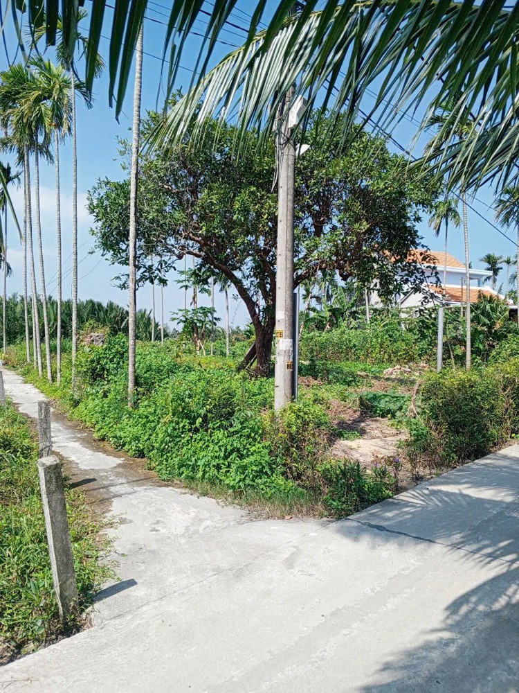Chủ kẹt tiền cần bán lô đất tại MT đường DX 017 có 1000 m² đất ở., Cẩm Thanh giá 18 tỷ