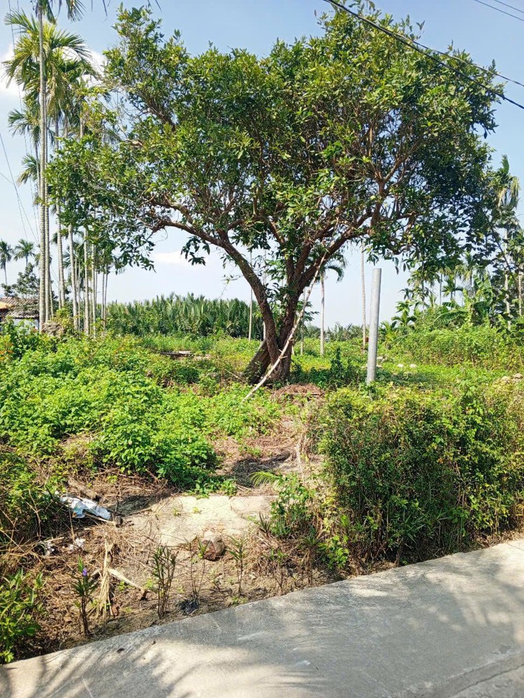 Chủ kẹt tiền cần bán lô đất tại MT đường DX 017 có 1000 m² đất ở., Cẩm Thanh giá 18 tỷ