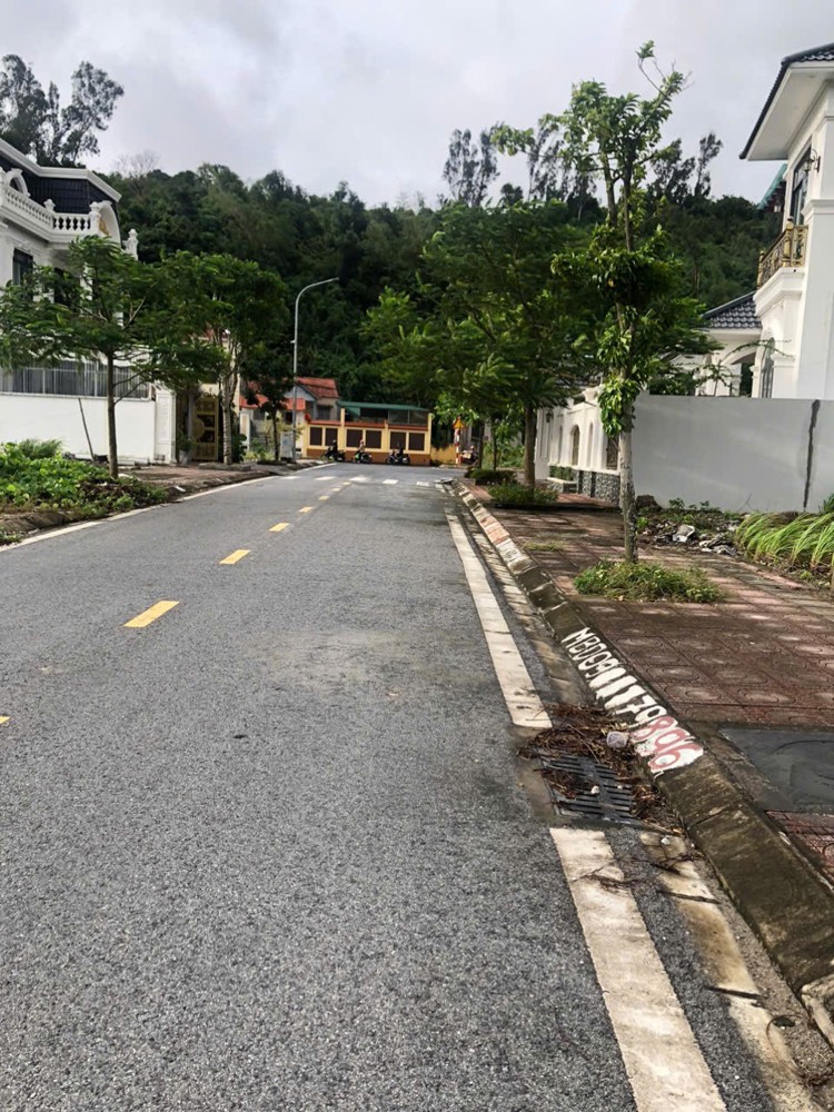 2 lô đất đấu giá Suối Rồng Đồ Sơn – giá 23,x tr/m²  ZALO 0567 222 555