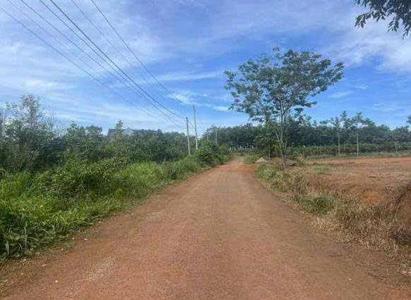 CẦN BÁN ĐẤT CHÍNH CHỦ - ẤP 4, XÃ THANH HÒA, HUYỆN BÙ ĐỐP, BÌNH PHƯỚC