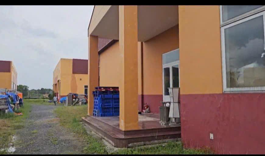 Bán nhà mặt tiền nhưa 7000m2 giá 35 tỷ Thông ra Quốc Lộ 22