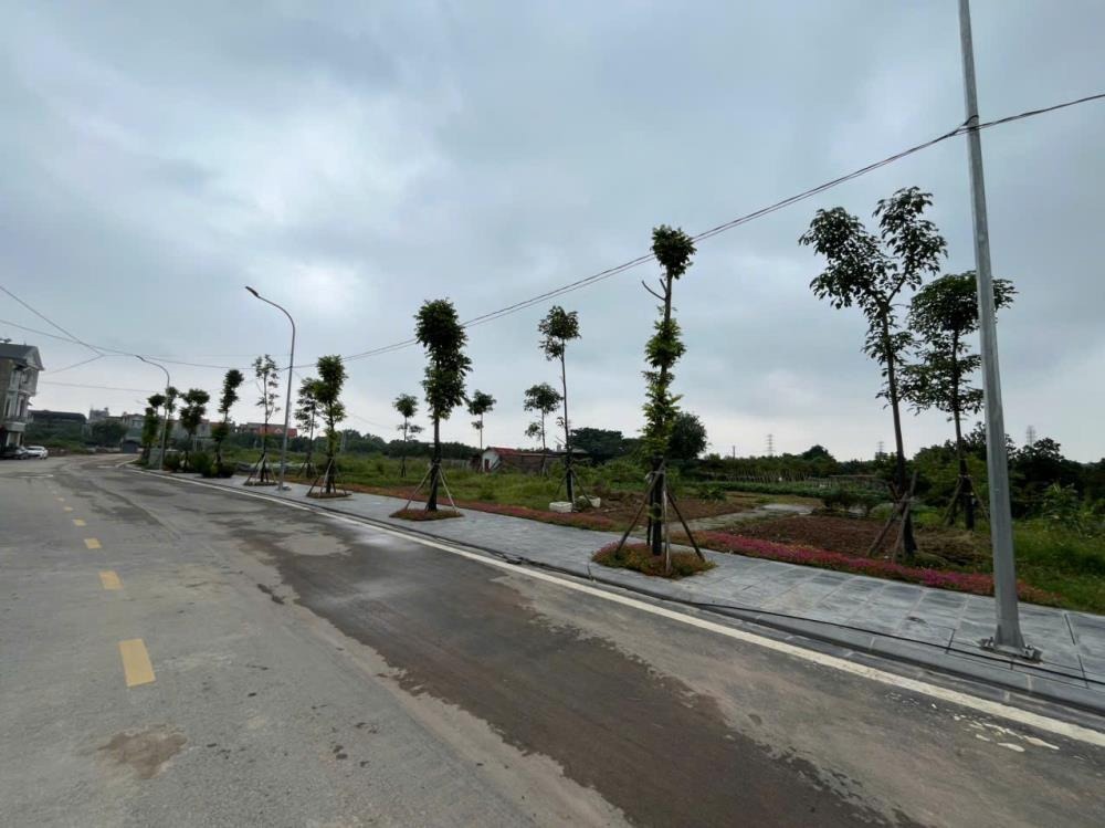Bán đất Nam Hồng Đông Anh 48.5m² - Giá 85tr, Ô Tô Vào Nhà