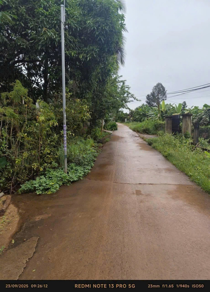 Chính chủ bán đất ấp Sở Nhi, xã Thanh Bình, huyện Hớn Quản, tỉnh Bình Phước