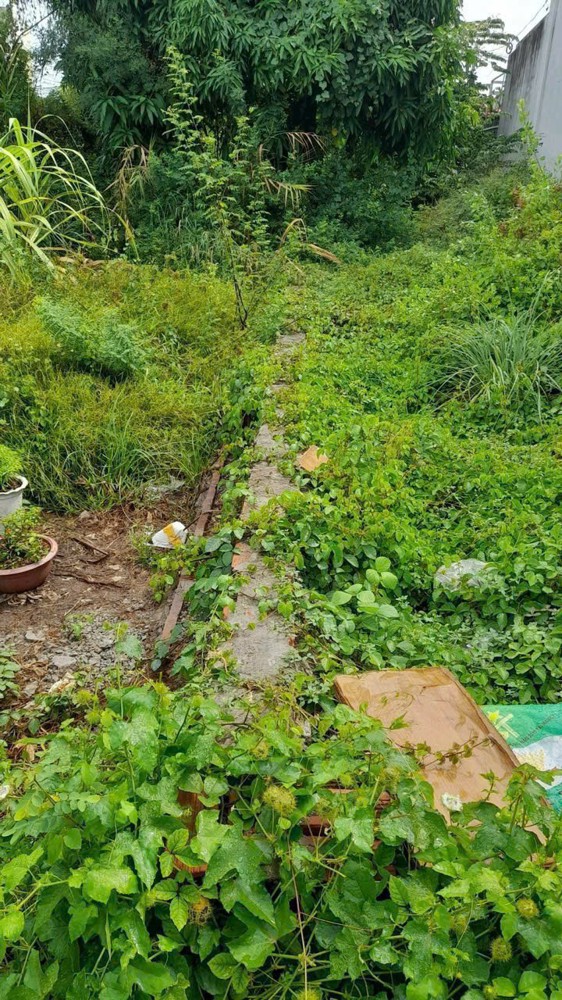 ĐẤT ĐẸP - GIÁ TỐT - Bán đất, hẻm 78, đường Đô Lương, Thành phố Vũng Tàu (cũ)