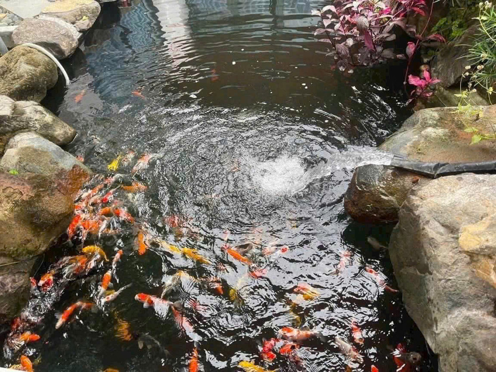 DUY NHẤT 01 CĂN NHÀ VƯỜN CÓ HỒ CÁ KOI SIÊU XINH Ở DIÊN TOÀN - GẦN ĐƯỜNG VÕ NGUYÊN GIÁP - DIÊN KHÁNH