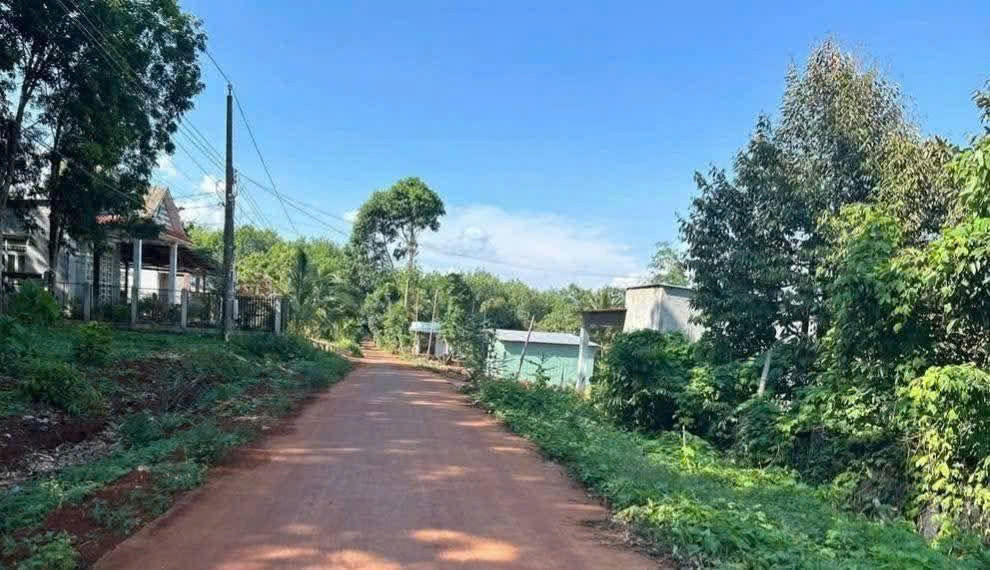 CHÍNH CHỦ CẦN BÁN ĐẤT 3 SÀO 2 TRỒNG SẦU RIÊNG – LỘC AN, LỘC NINH, BÌNH PHƯỚC