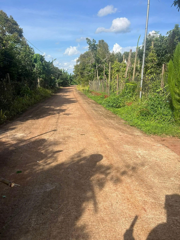 CHÍNH CHỦ CẦN BÁN ĐẤT 3 SÀO 2 TRỒNG SẦU RIÊNG – LỘC AN, LỘC NINH, BÌNH PHƯỚC