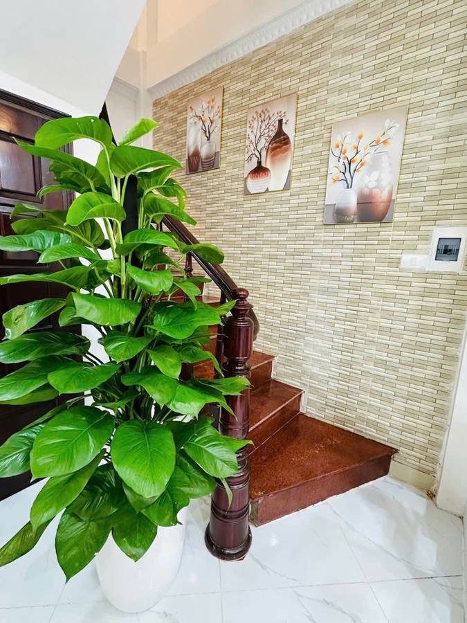 Bán nhà đẹp Bạch Mai, Hai Bà Trưng - 39m², 4 Tầng, Giá 7.99 Tỷ