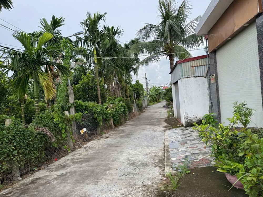 Đất ngõ ô tô – Mạc Đăng Doanh, Hưng Đạo Dương Kinh  Giá chỉ 8xx triệu  ZALO 0567 222 555