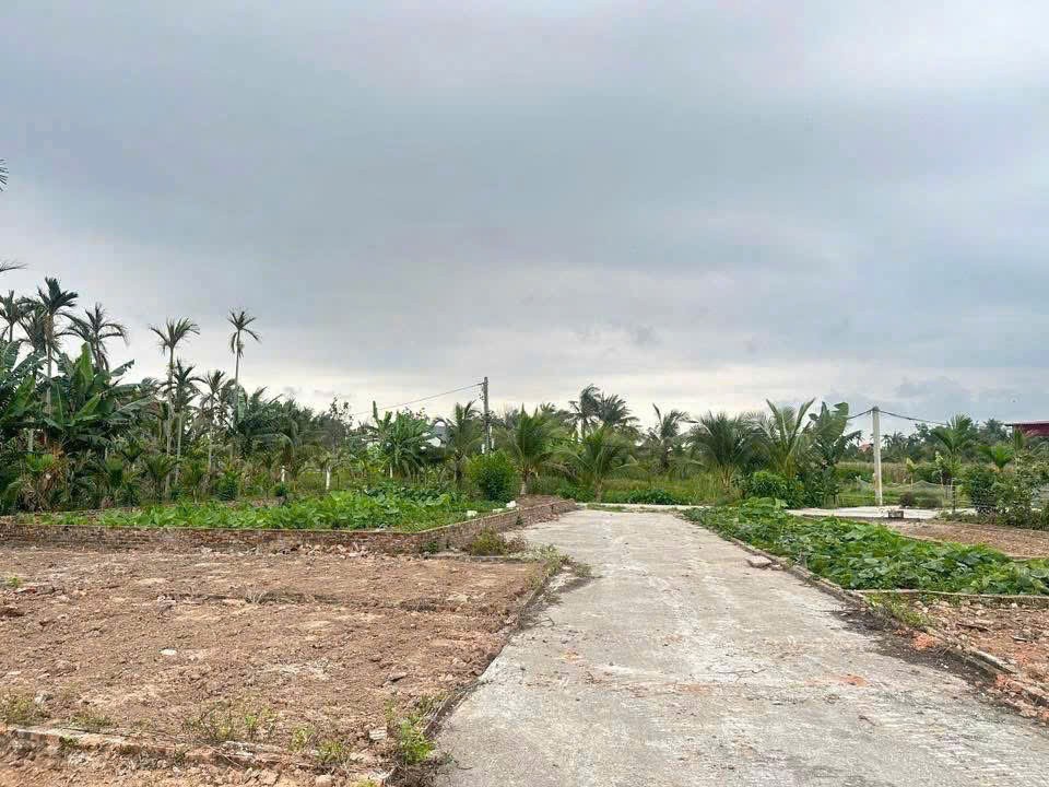 Đất ô tô vào tận nơi – Trung tâm Tân Phong, Kiến Thụy  Giá chỉ nhỉnh 6xx triệu  ZALO 0567 222 555