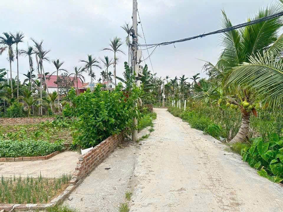 Đất ô tô vào tận nơi – Trung tâm Tân Phong, Kiến Thụy  Giá chỉ nhỉnh 6xx triệu  ZALO 0567 222 555