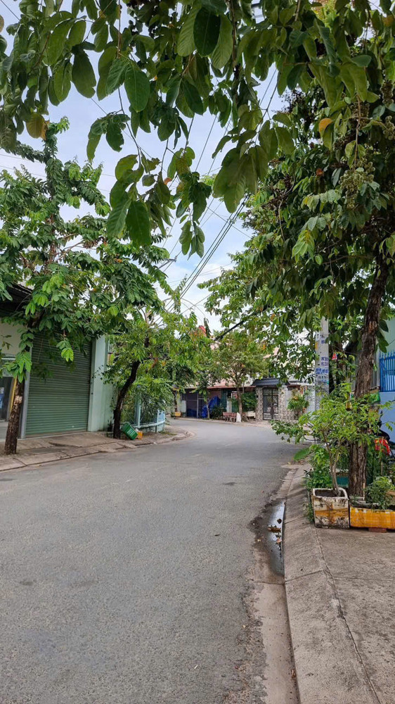 CẶP ĐẤT (6x23) MẶT TIỀN TAM ĐÔNG 2, THỚI TAM THÔN, HÓC MÔN