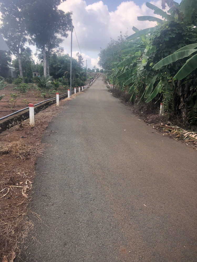 Chủ bán 1000mv mt nhựa láng lớn phủ hồng 300mv