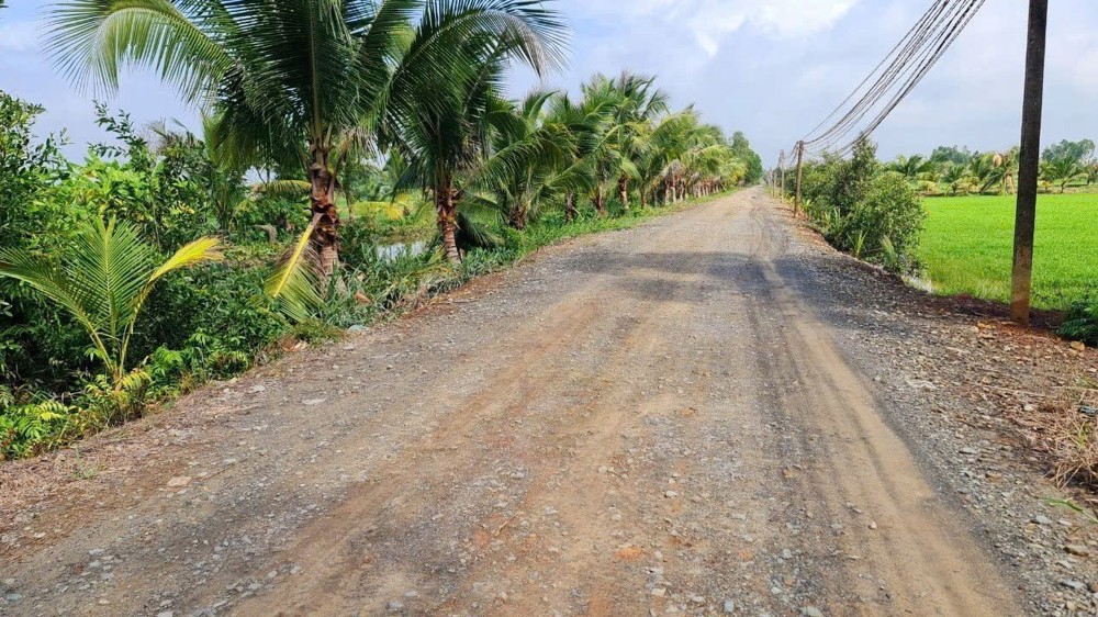 Bán đất ở Long An tổng diện tích 2 mảnh 7200 m2 giá cả thương lượng nhẹ